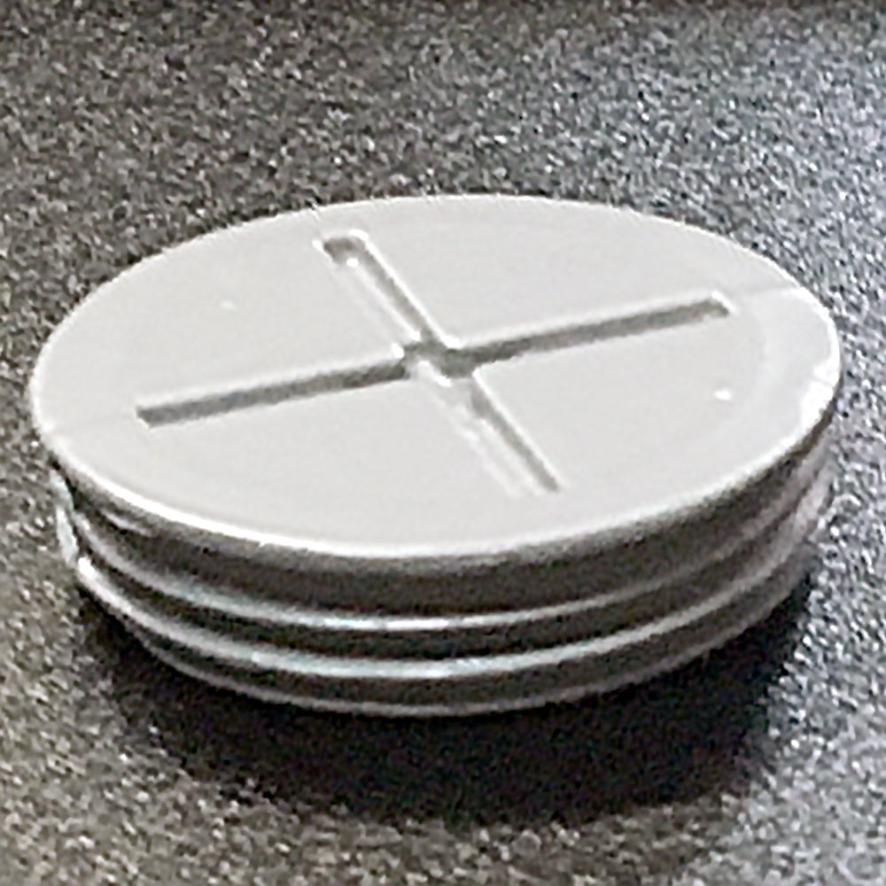 Plug 1